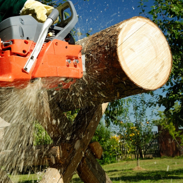 A person is cutting a large log with a chainsaw