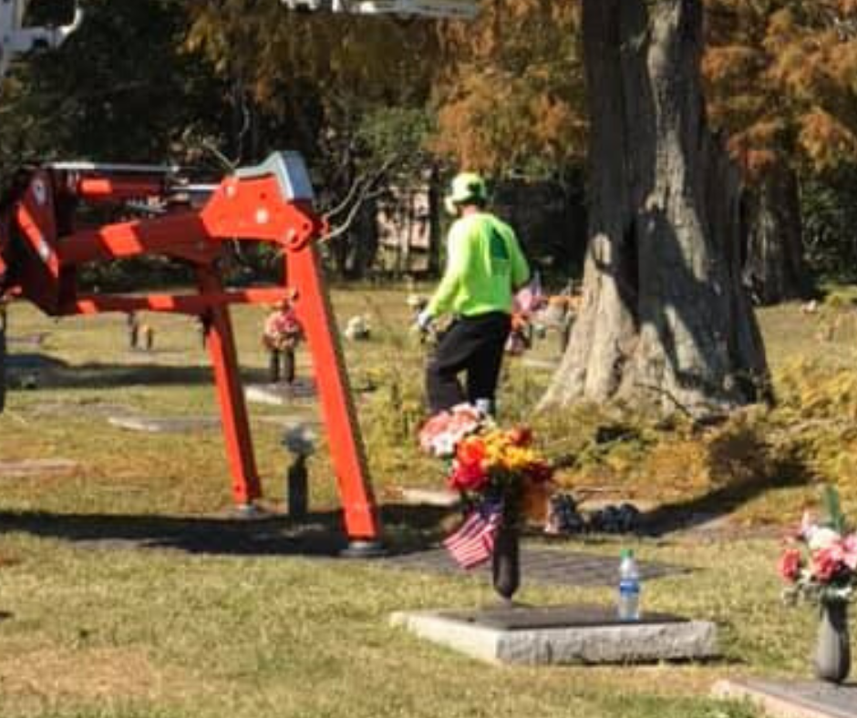A man is standing in a cemetery next to a tree. Tree Service Metairie LA