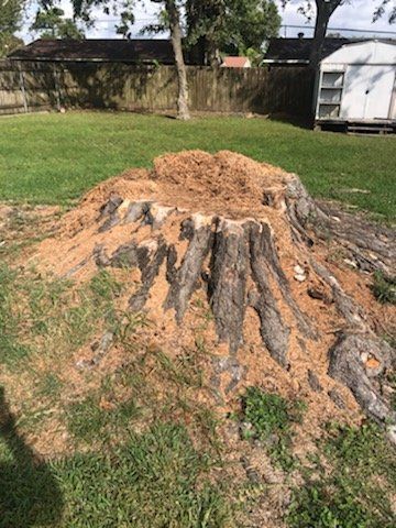 A large tree stump is sitting on top of a lush green field.