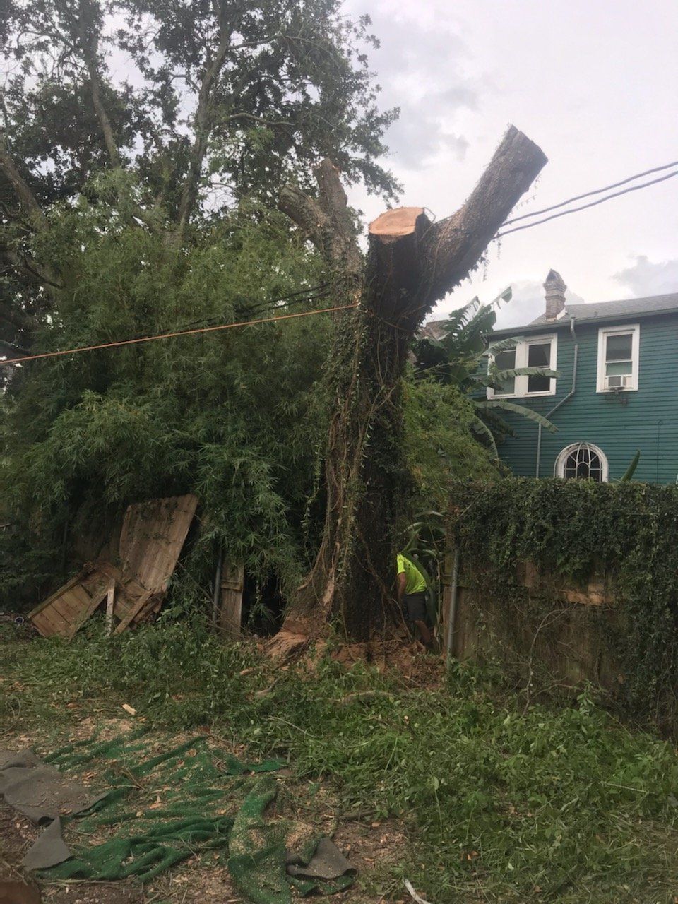 A large tree is being cut down in front of a house.