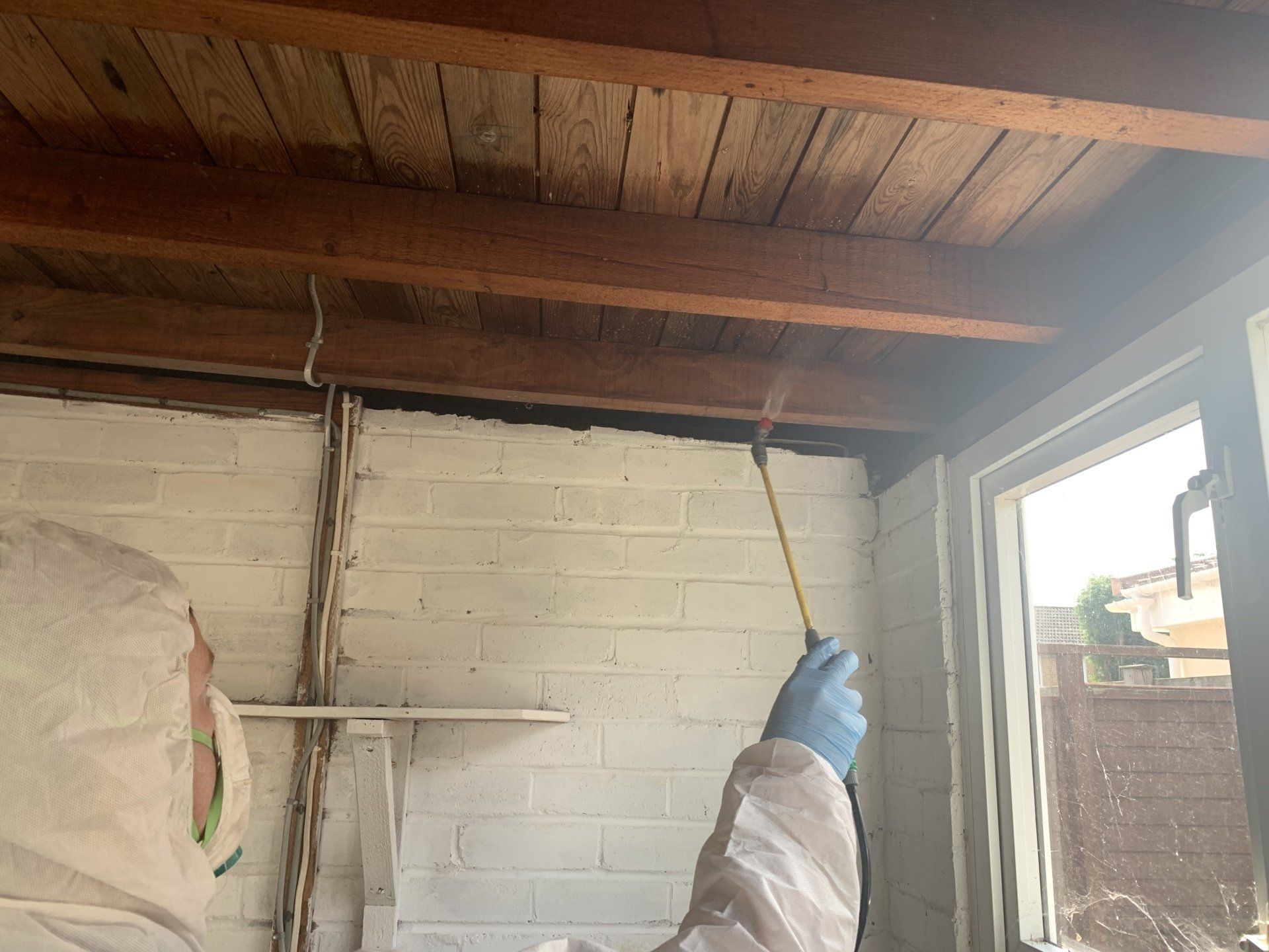 woodworm treatment somerset
