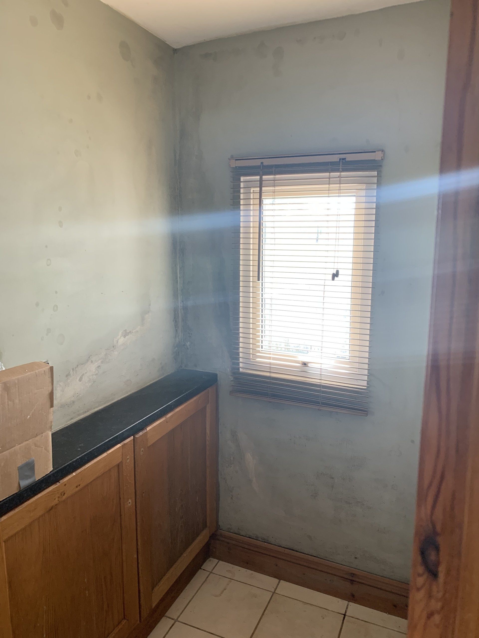 mould and condensation treatment somerset and devon