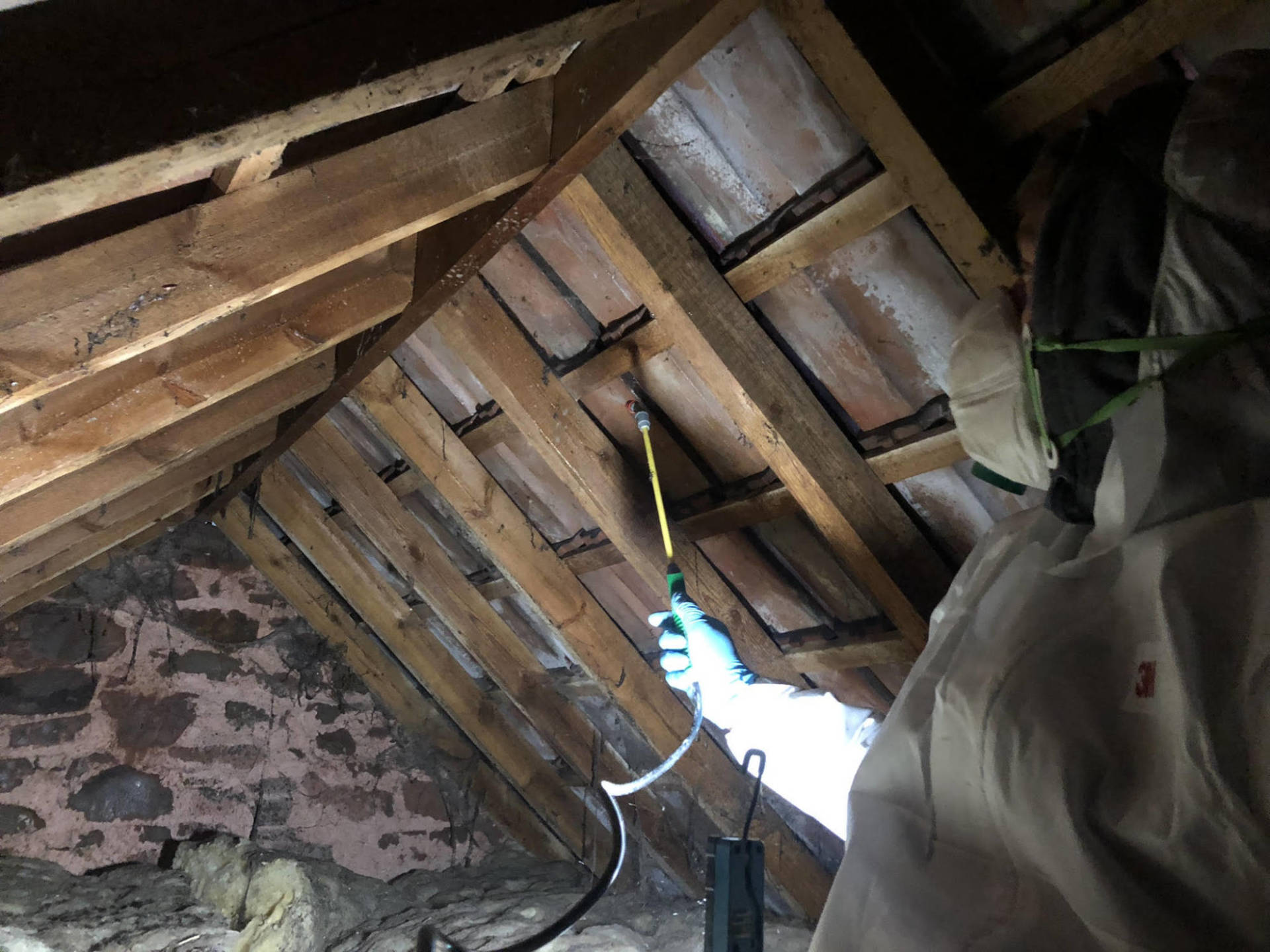 woodworm treatment crowcombe somerset