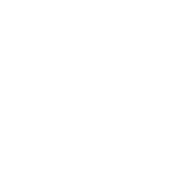 argument