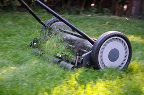 Grass Cutting
