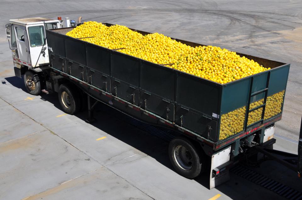 trasporto frutta