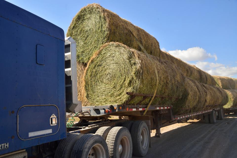 trasporti agricoli
