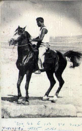 אלכסנדר זיד על גבי סוסו