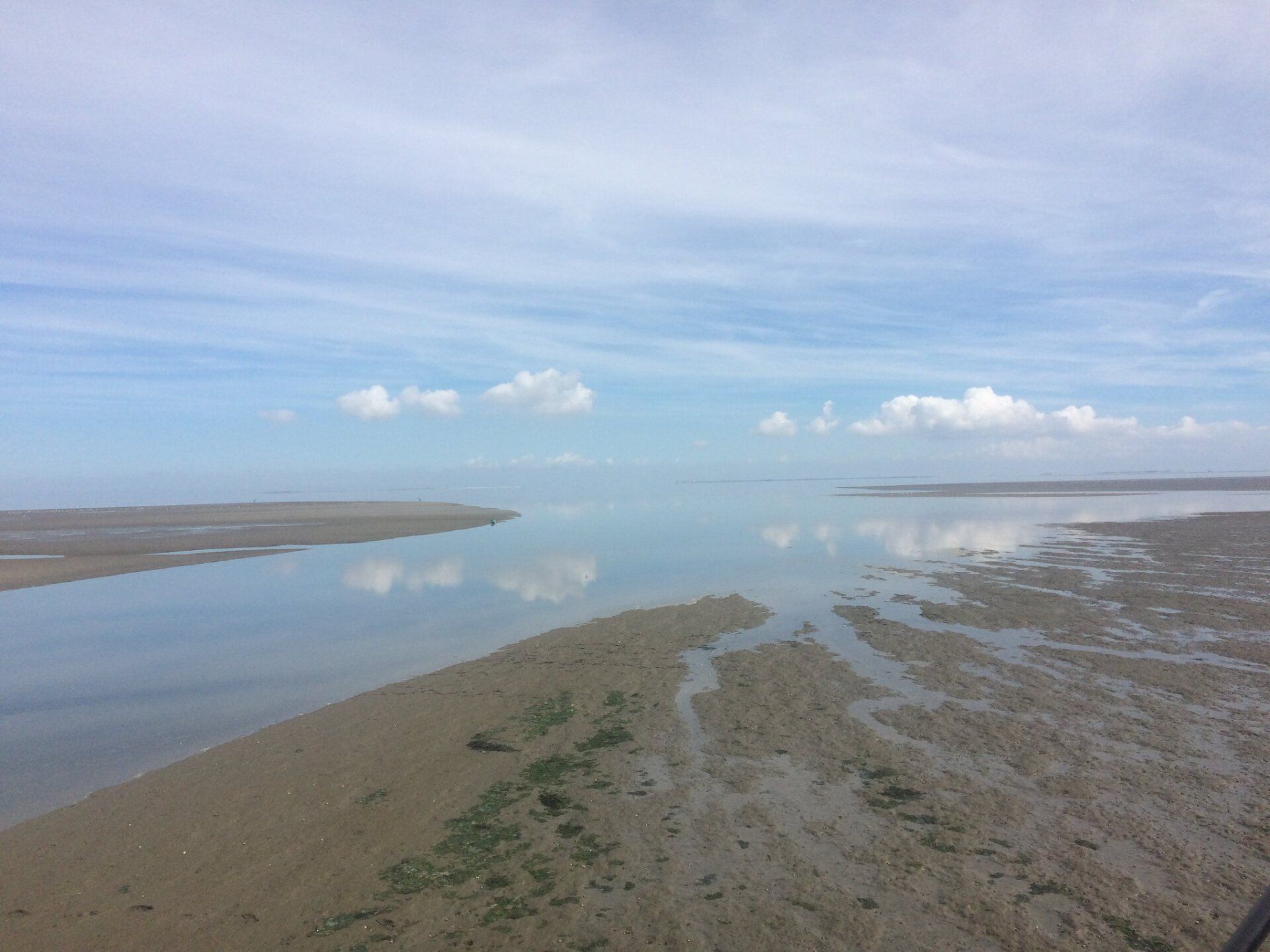 Quiet sandy coastline and calm water under light clouds on the Dutch Wadden Sea.