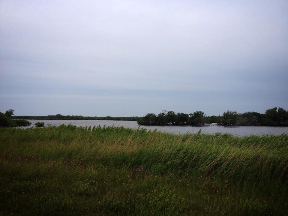 Salt marsh landscape with water under grey clouds in the Dutch Wadden Sea region.