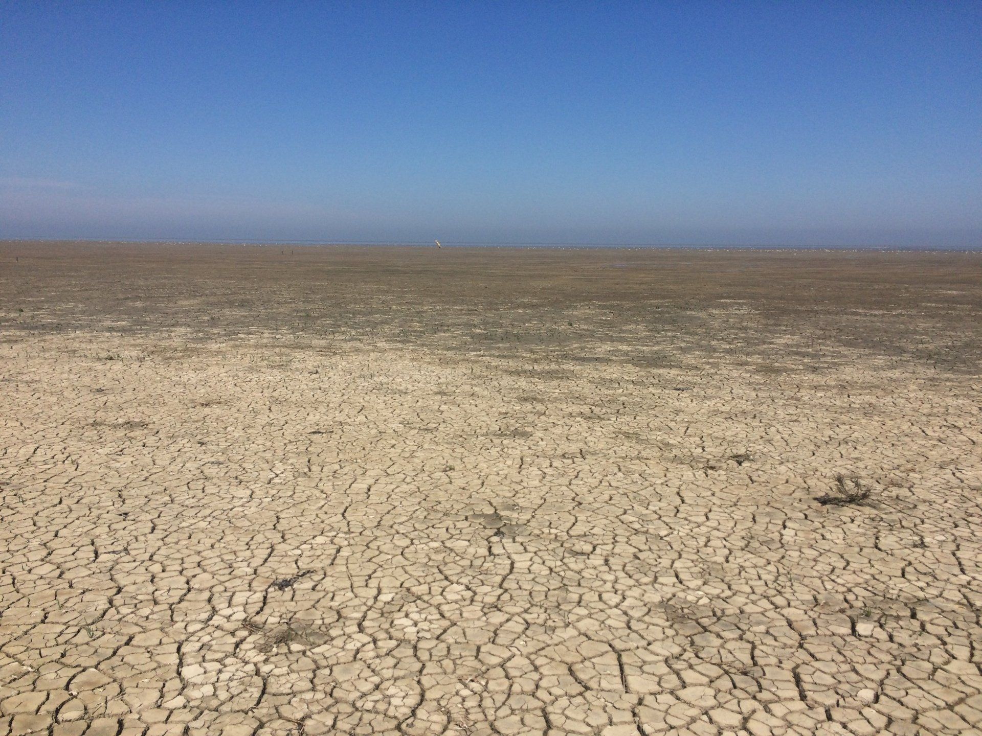 Rough, dry clay ground under a clear blue sky, a wide landscape in the Dutch Wadden Sea region.