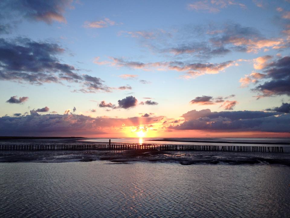 Wooden poles in the water at sunset on the Dutch Wadden Sea, with golden reflections across the tidal flats.