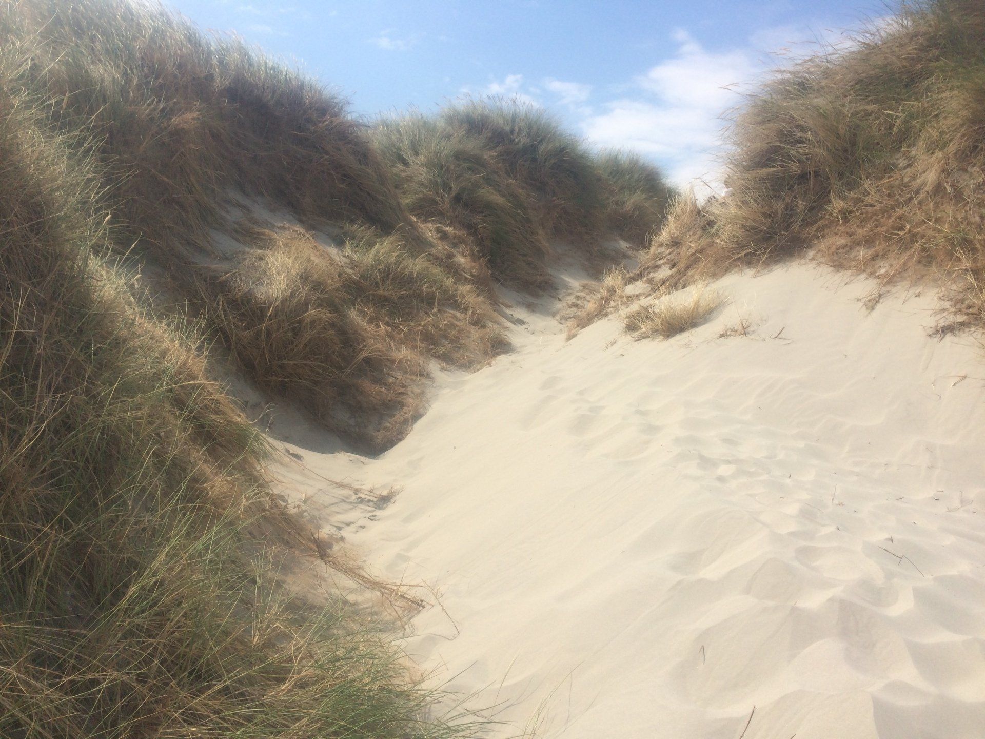 Winding sandy path through dunes with dry grass under a blue sky on a Dutch Wadden Island.