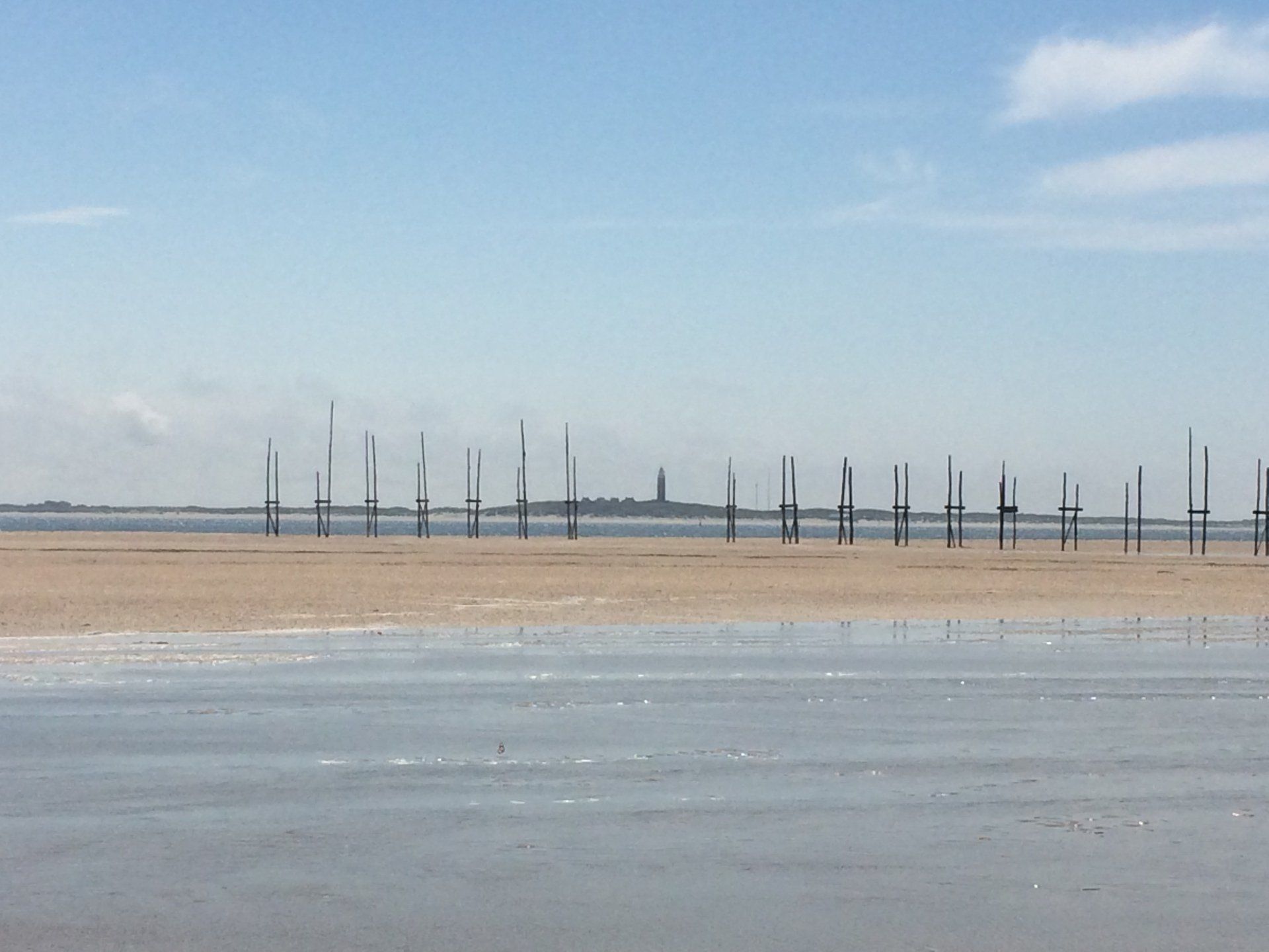 Sandy beach with wooden posts and a distant landmass under a light blue sky on the Dutch Wadden Sea.