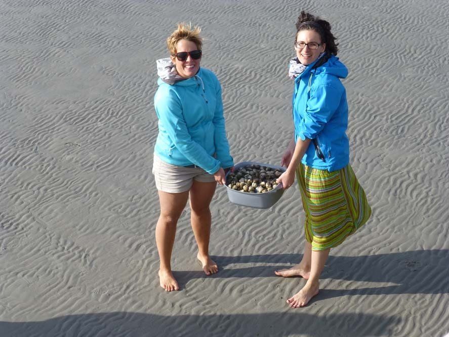 Mudflat walking on the Dutch Wadden Sea: two women holding a basket of shells on the beach.