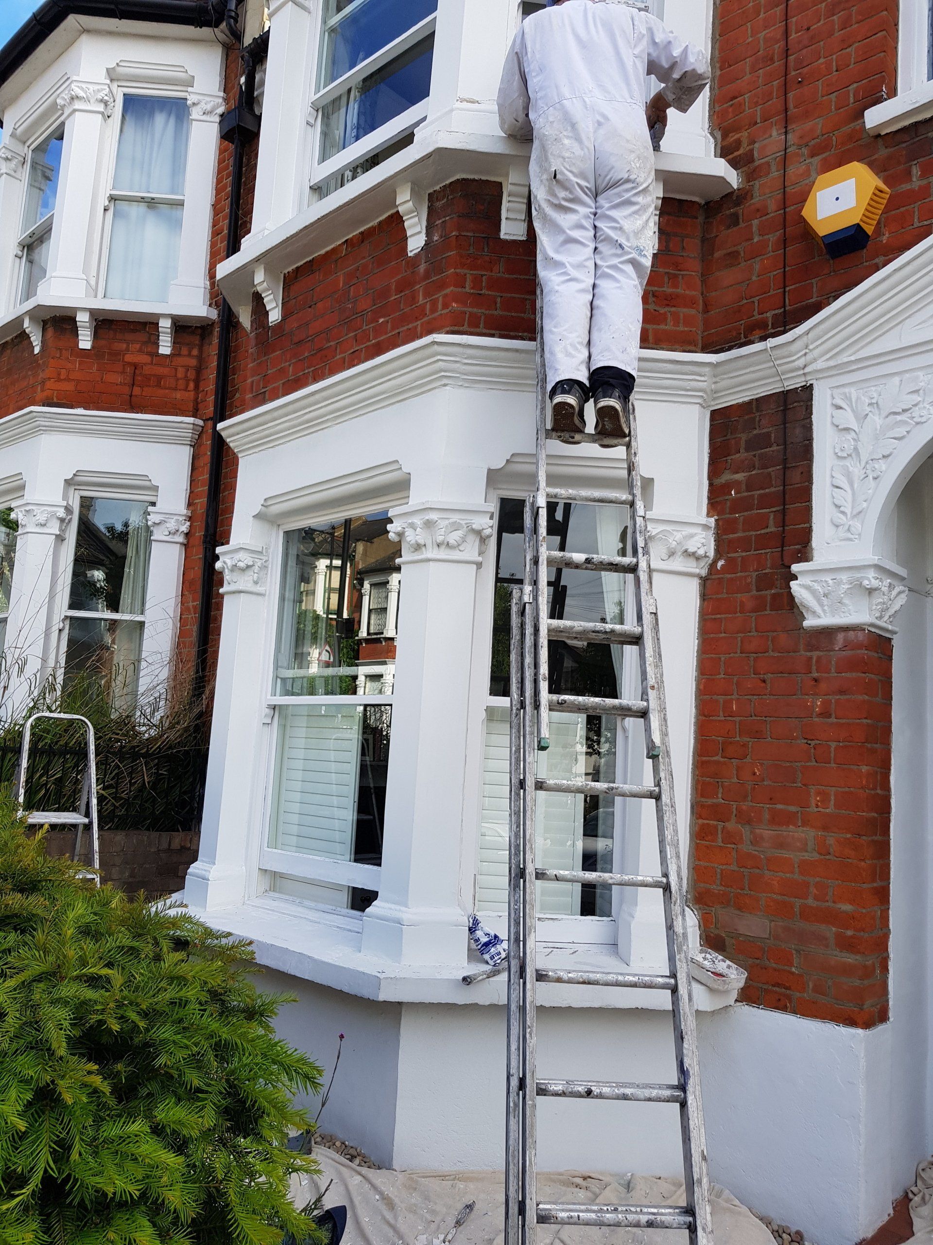 Painter up ladder