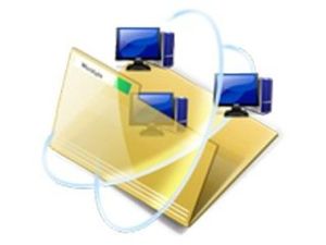 WEB STORE