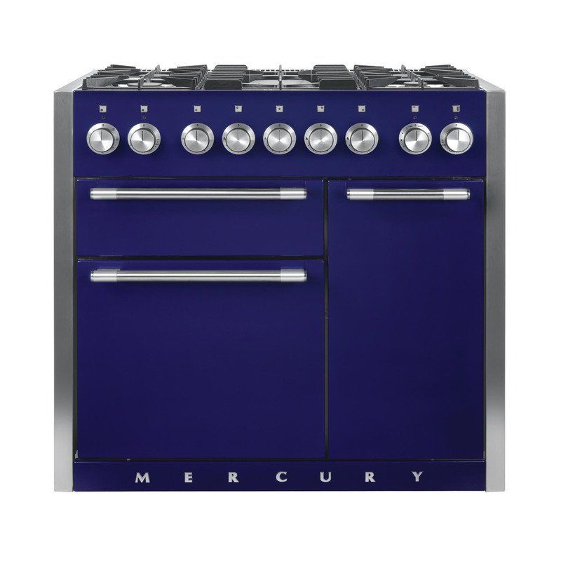 Mercury_1000_Dual_Fuel_Blueberry