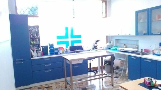 Interno ambulatorio