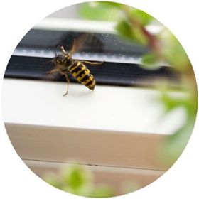 We allow time for a detailed survey so our customers’ needs are understood and the best possible solutions are found
