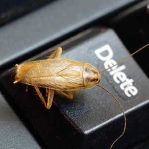 Pest damage prevention