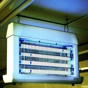 Bird proofing systems and fly killing machines