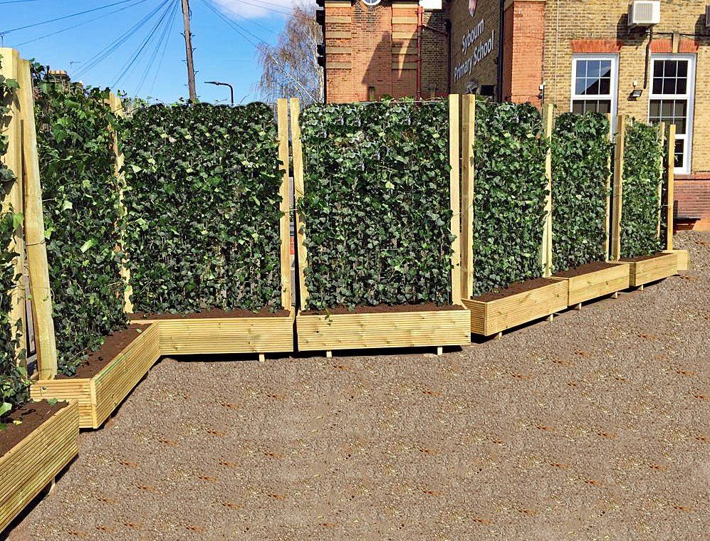 Mobilane ivy Green screens planted in timber planter boxes