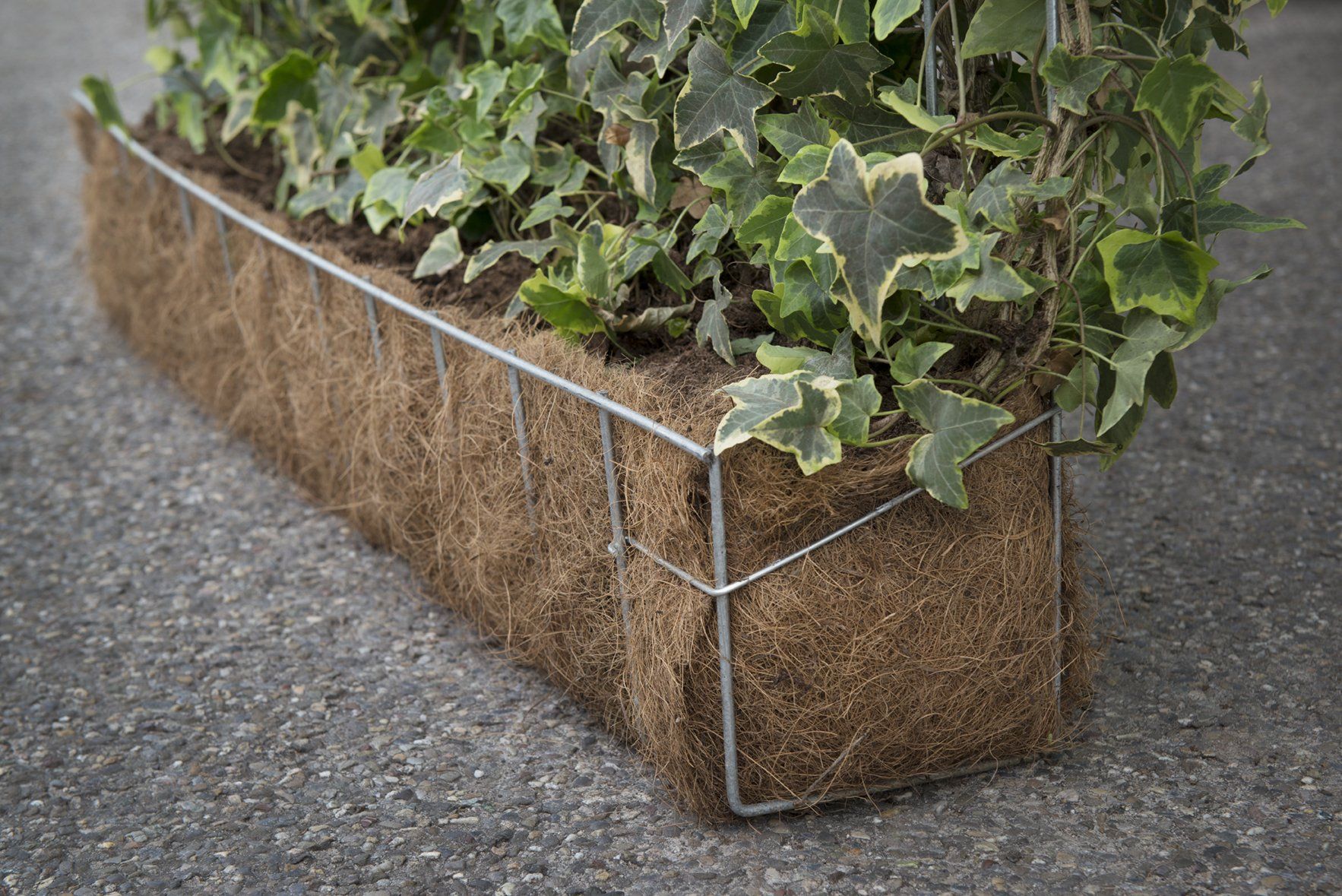 Example of a hedera helix mobilane green screens prior to installation