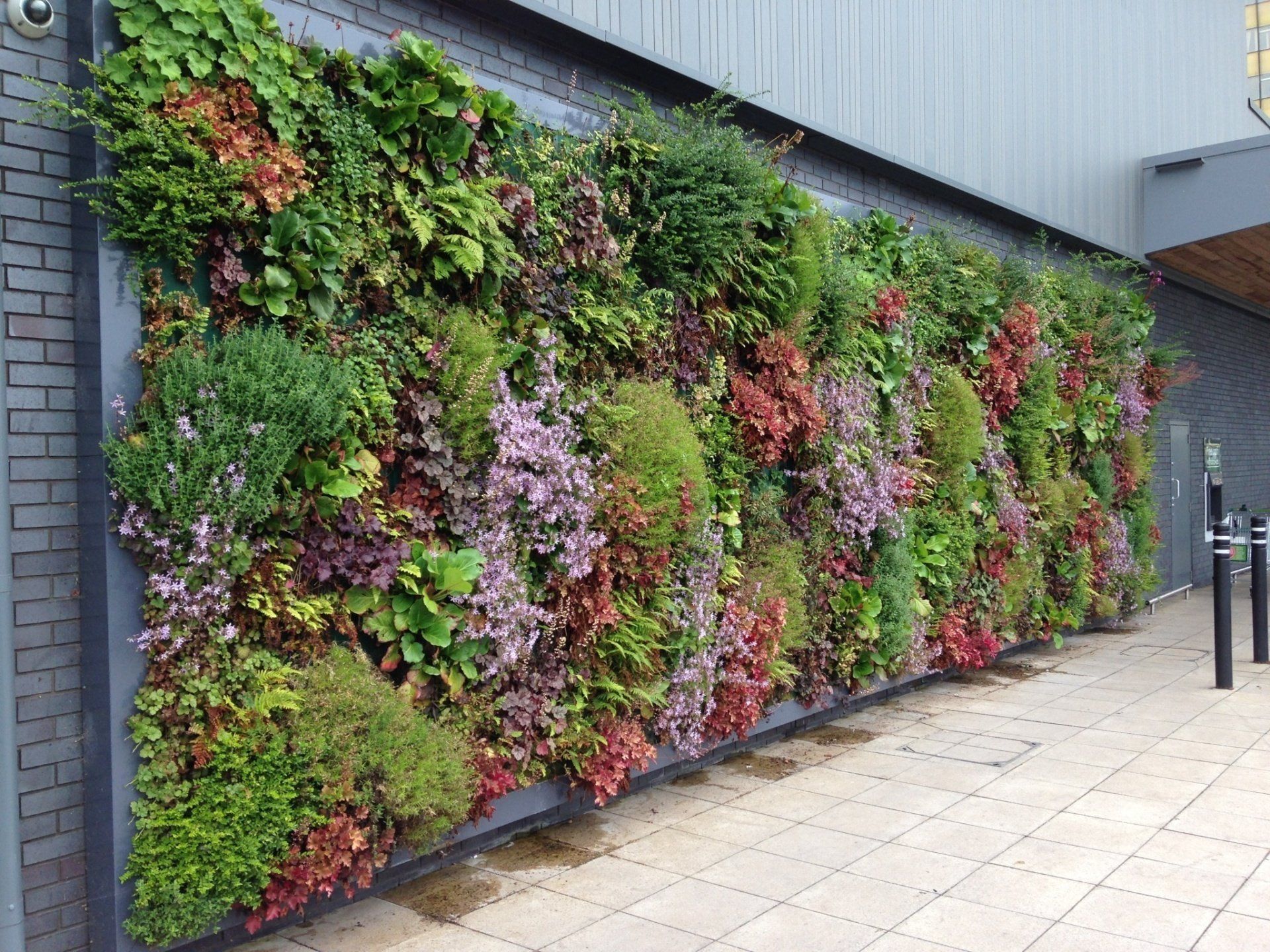 Mobilane livepanel installed on the newly built Marks and Spencer store, turning grey uninspiring concrete walls to green