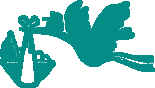 Gulfcoast Institute of OB/GYN LLC Gulfcoast Institute of OB/GYN LLC