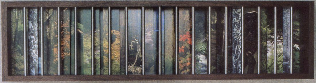 redwoods abstract art