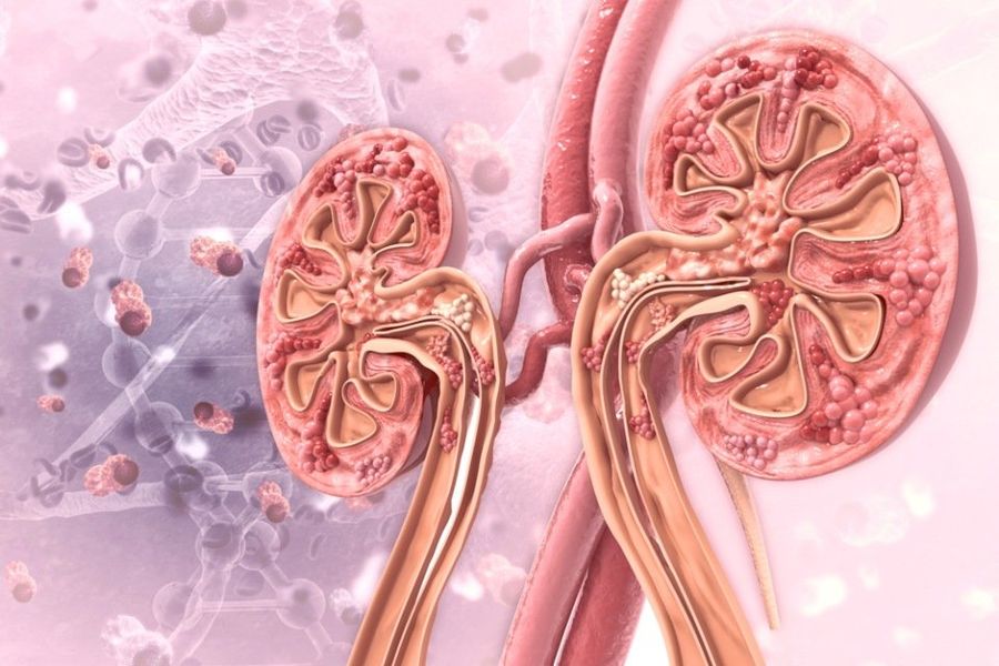 Visita specialistica urologica