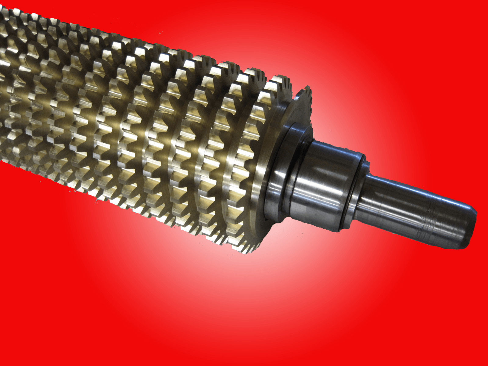 Close-up of a metal roller with many small, spiked teeth for industrial use.
