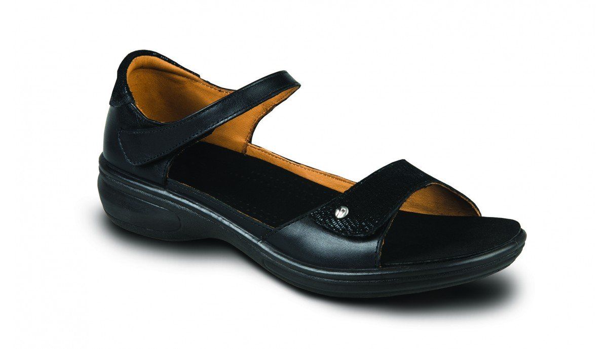 Bali Black Lizard