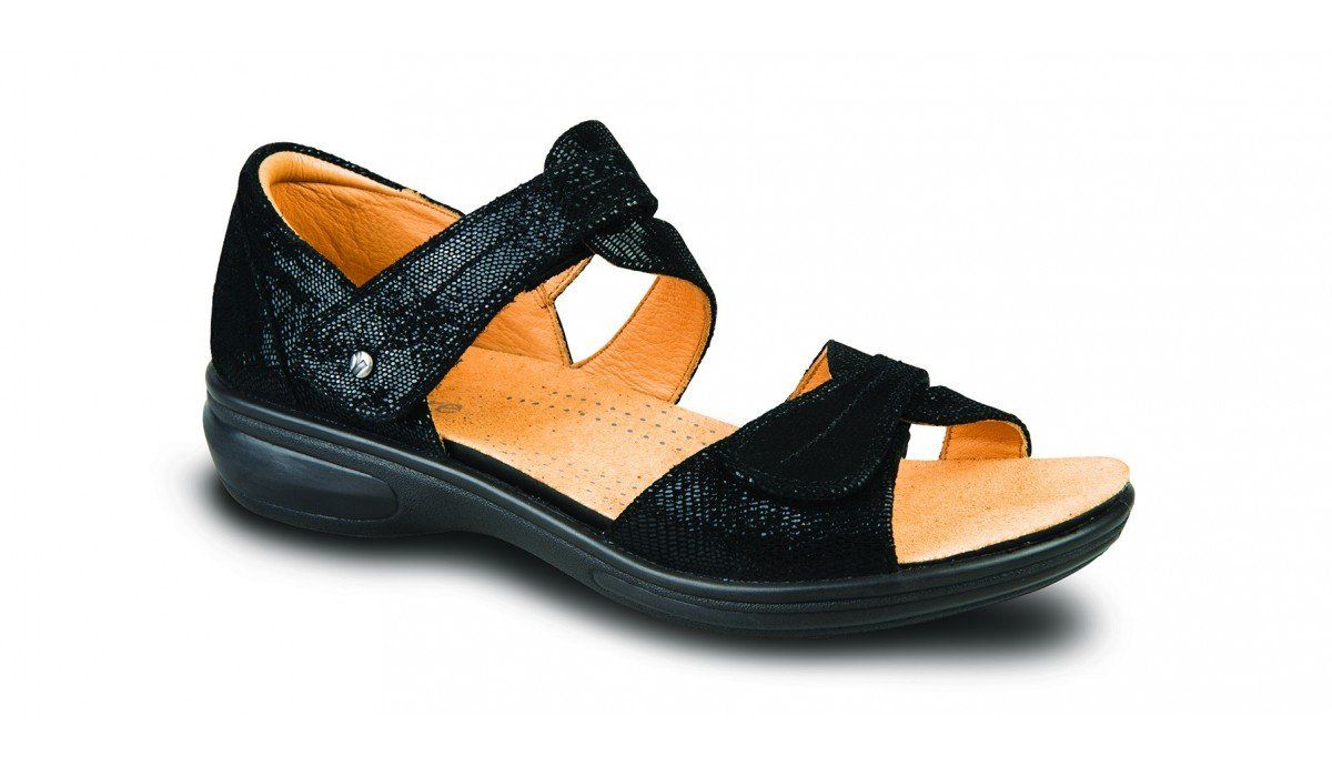 Geneva Black Lizard