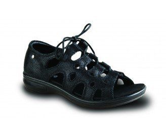 Napier Black Lizard