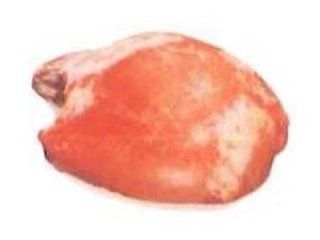 Noce