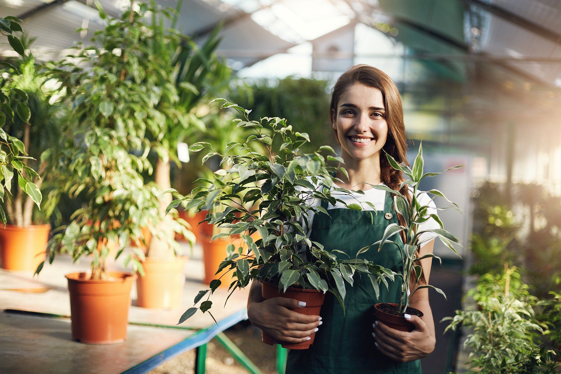 El Paso Landscaping Services