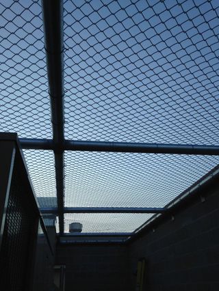 fence