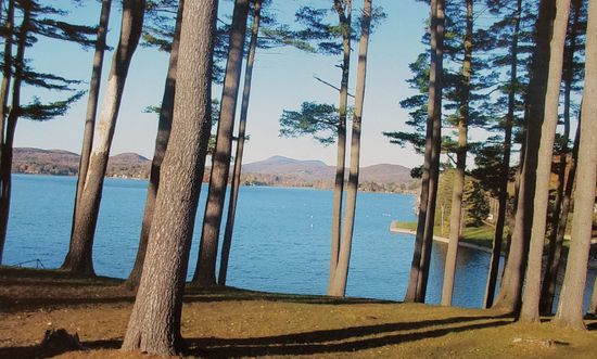 Trees Beside the Lake — Pittsfield, MA — Drennan Law Offices