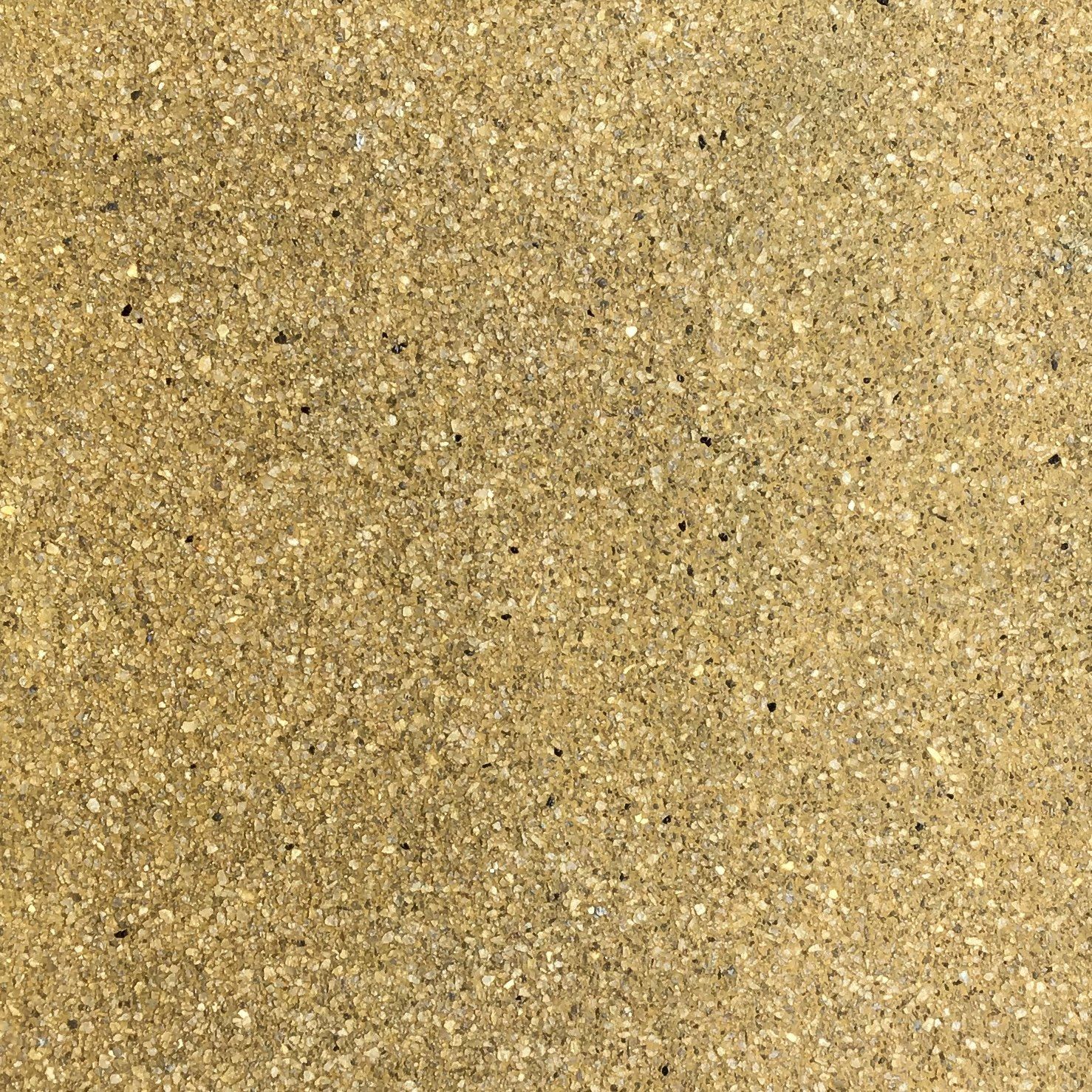 Tan, textured surface with small, dark flecks.