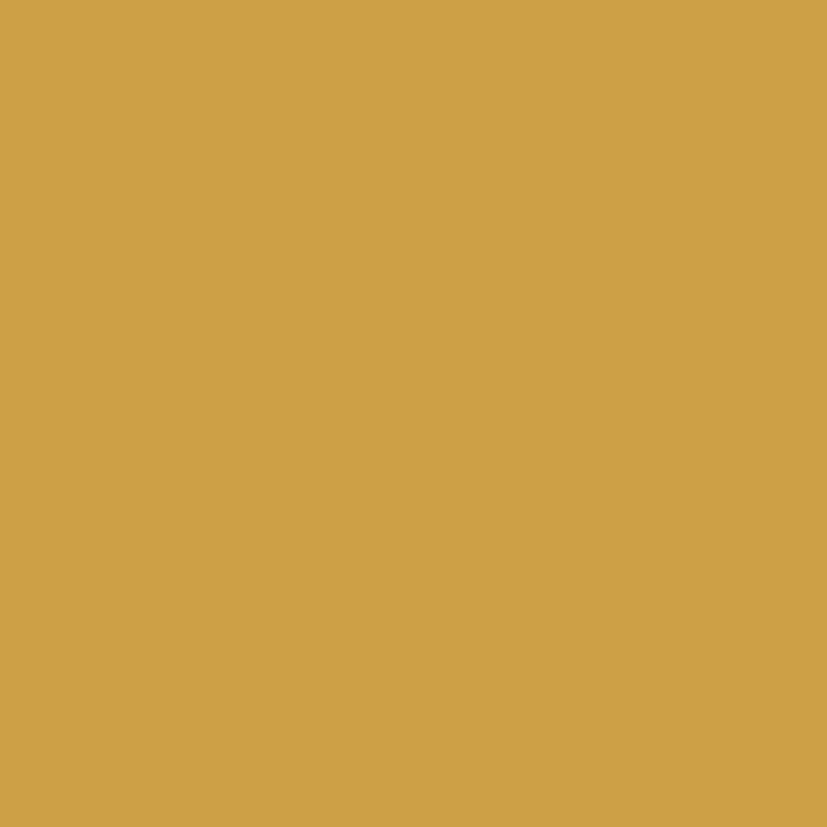 Solid mustard-yellow background.