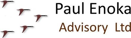 Paul Enoka Chartered Accountants Ltd, Accountants, Accountant, Wellington Paul Enoka Chartered Accountants Ltd, Accountants, Accountant, Wellington