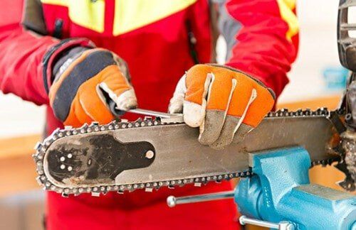 Sharpening a chainsaw — Tool Rental in Lakewood, CO Sharpening a chainsaw — Tool Rental in Lakewood, CO