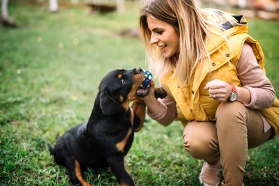 Playing With Dog — Palm Beach Gardens, FL — Loving Care Dog Walker and Pet Sitter Services