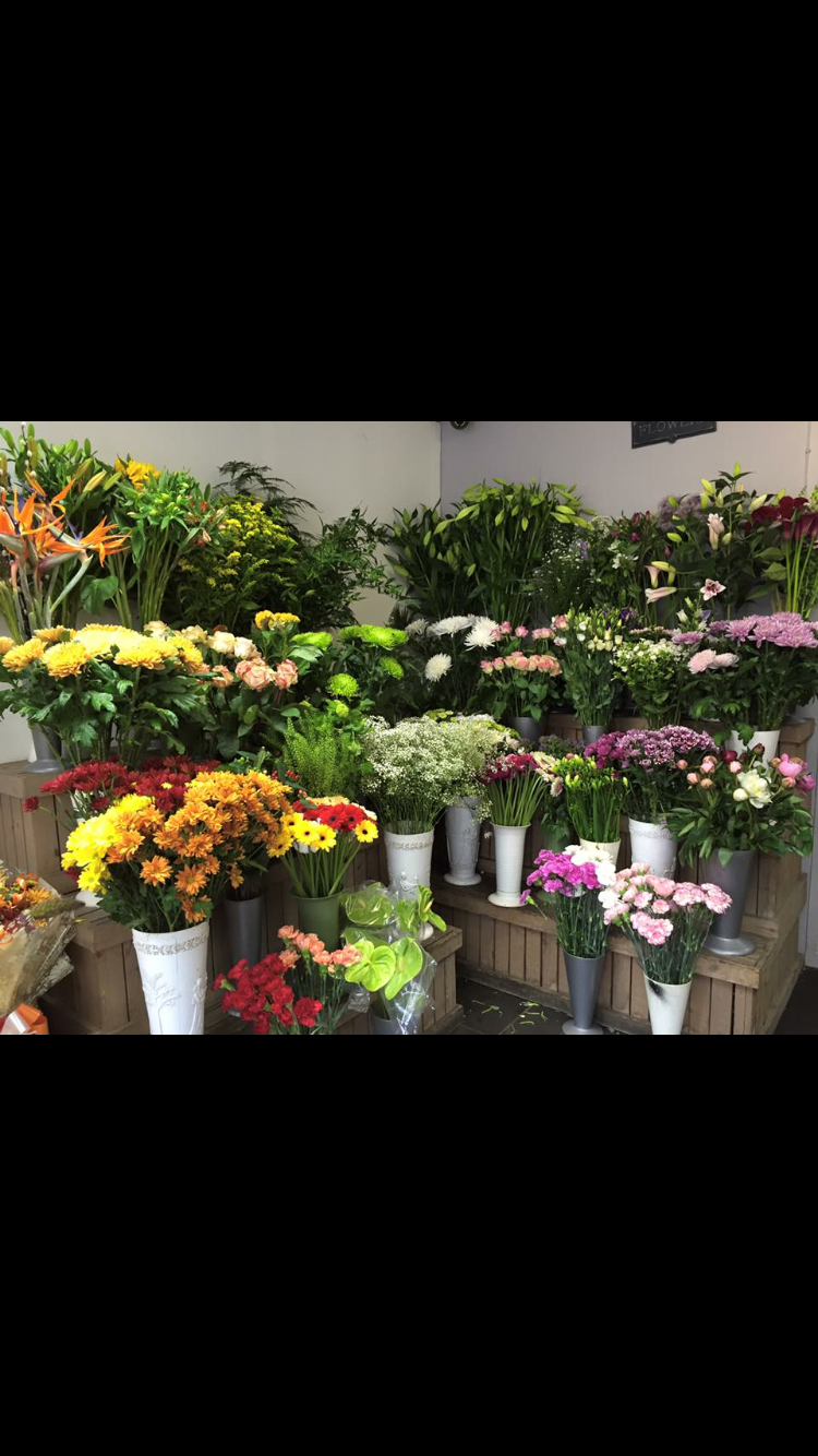 Flowers in tins