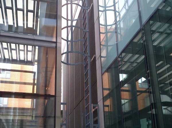 8.5-metre high cat ladders