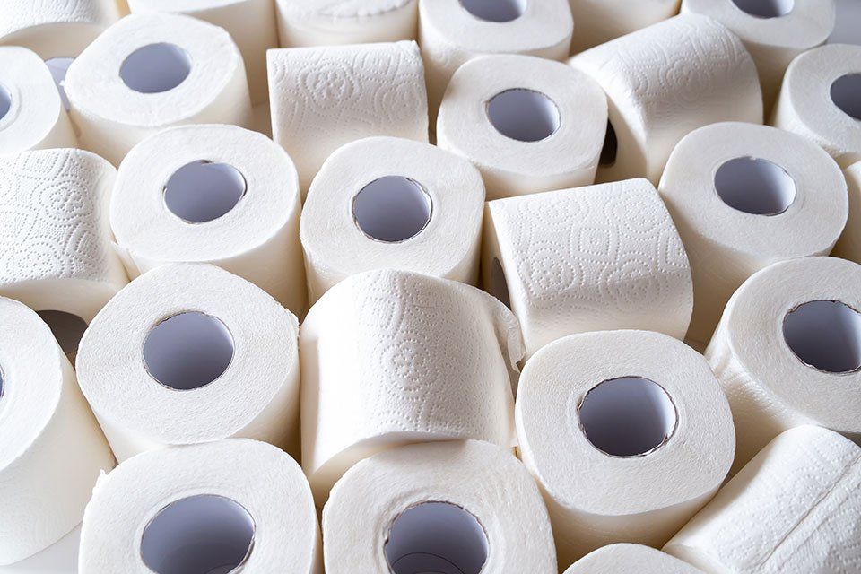 paper towel roll