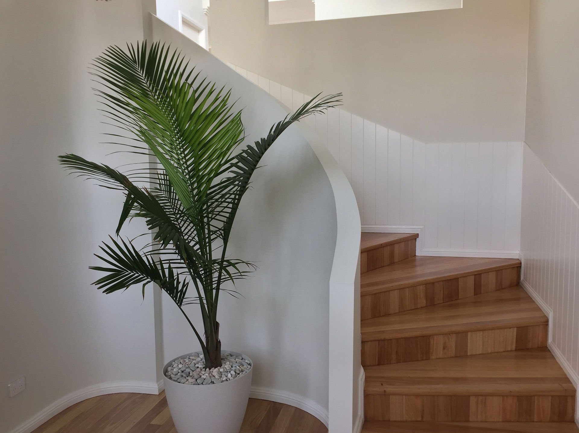 Residential House