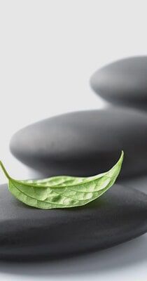 Steps to Wellness — Natural Healing in Reno, NV